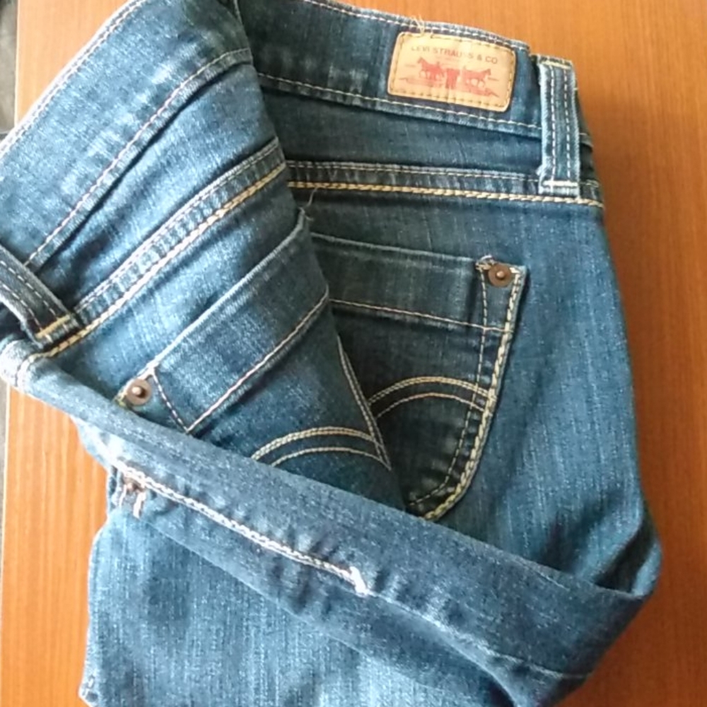 Levi's Strauss & Co. Skinny Blue Jeans